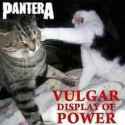 images (5)