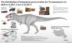 image (1)