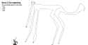 borzoi2scaled