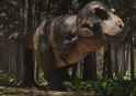 trex1