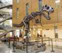 images - 2025-06-24T174014.378