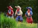 friends-cowboys