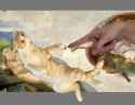 Creation of Jefrey with one F