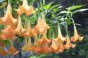 images-112