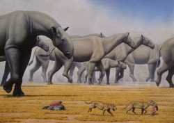 paraceratherium herd