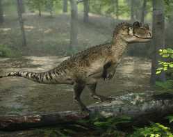 CeratosaurusForest