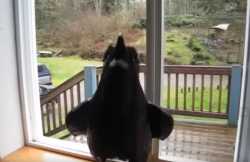 NEVERMORE