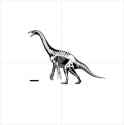 Therizinosaurus VCOG