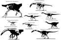 Therizinosaur_skeletons