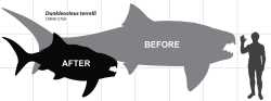 Dunkleosteus-size