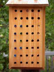 bee_house