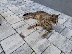 IMG_20250607_114100745_AE
