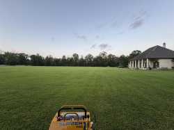 lawn