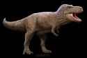Tyrannosaurus rex Paleorex