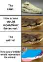 paleo&#039;art&#039;