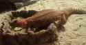 Screenshot_2025-07-04_153053