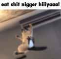 1725646544779634