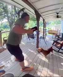 man-gets-attacked-by-squirrel-v0-ojm9qt21cvaf1