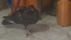 IMG_20250705_195518
