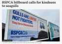 Screenshot 2025-07-06 at 20-13-54 RSPCA billboard in Great Yarmouth wants kindness to seagulls - BBC News