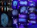 platypus under UV light
