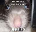 25 KB