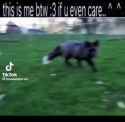 666 KB