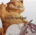 387 KB