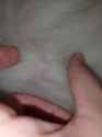 364 KB
