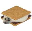 Seal Smore.jpg
