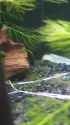 3.93 MB