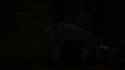 2.71 MB