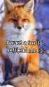 144 KB