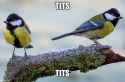 119 KB