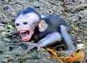 52 KB