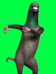 7 KB