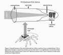 189 KB