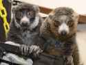418 KB