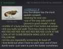429 KB