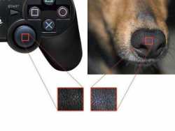 25 KB