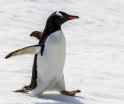 62 KB