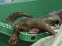474 KB