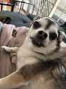 327 KB