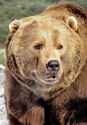 261 KB