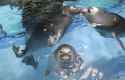 111 KB