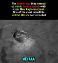 163 KB