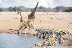 351 KB