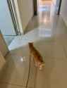 173 KB