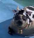 78 KB