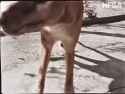 3.45 MB